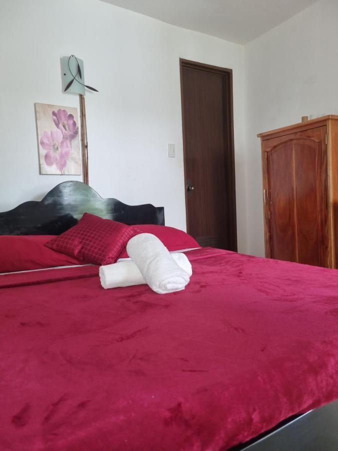 Southpoint Hostel Moalboal Bagian luar foto